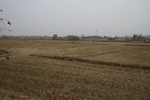 4510IMG_8682.JPG