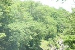 2022-06-11_15-55-40_EF66A8FD-42DB-4C09-A137-42D4882D8B2E.jpeg