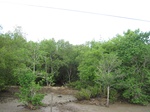 14217IMG_4557.JPG