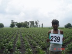 71870239a-rainfed-agriculture-mixedcrop-rice-cotton-sorghum.jpg