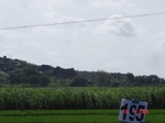127090195c-irrigated-supplemental-groundwater-rice-dominant-sugarcane.gif