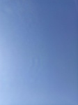 2020-11-11_13-52-43_2020-11-11-13-46-17.jpg