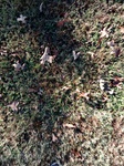 2020-11-03_08-32-12_2020-11-3-8-28-49.jpg