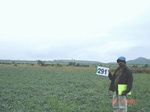 73610291c-rainfed-agriculture-soyabean.jpg