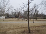 9579IMG_0017.JPG