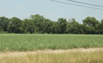 2022-05-26_14-37-01_61C166EE-DBDF-4863-AB1D-C3C02F0DFB19_1_201_a.jpeg