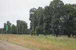 2022-06-12_15-03-23_FE262ADA-0B8A-456B-89C5-88BD1862AB52.jpeg