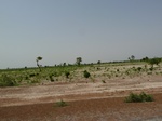 18976P1000820.JPG