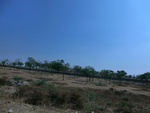 41272CIMG8111.JPG