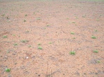 500320042008(17).JPG