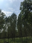 2017-09-12_13-33-26_198E2B01-0B43-48AB-B931-080E61DCB099.jpg