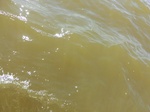 2012-09-21_14-26-55_CIMG0140.JPG