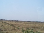 479001052008(61).JPG