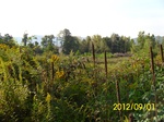 2012-09-27_22-10-31_NY-ST-4-South.JPG