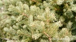 2012-09-27_14-25-40_280.JPG
