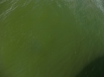 2012-09-21_14-26-53_CIMG3101.JPG