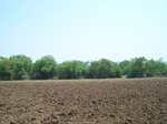 1780924042008(68).JPG