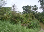 3752RIMG0056.JPG