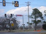 9633DSC04297.JPG