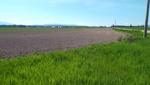 2018-05-27_14-54-16_DSCF6489.JPG