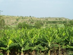 490002052008(92).JPG