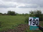 70430190b-rainfed-hilly-agriculture-sorghum.jpg