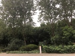 2017-09-12_10-45-07_773BB8A0-6043-4031-9469-C322FC1BBFDD.jpg
