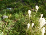 2017-07-05_20-53-25_DSCN2891.JPG