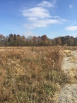 2018-11-08_12-36-47_EF8180A4-8CD3-4268-86ED-292C178CA69F.jpg