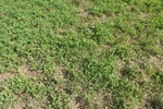 2017-09-02_14-59-31_Down(N43.05271.W077.25574).JPG