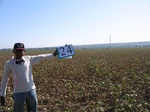 10194024-Farm land (Surface water) Cotton-a.jpg