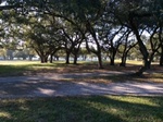 2017-02-24_13-45-39_Feb17-103-FL.jpg