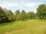 2017-09-25_09-44-09_9-4-17 North.JPG