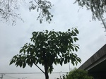 2017-09-10_06-58-08_AF69E24E-C618-48D8-8876-23484CC2B078.jpg