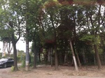 2017-09-12_12-54-05_1DDA7009-8337-4C3B-84ED-499B34CF4722.jpg