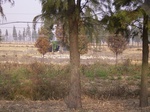 3075 008.jpg