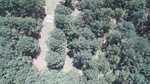 2017-06-12_13-57-37_DJI_0017.jpg