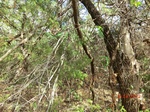 2012-10-02_20-53-37_CIMG0116.JPG