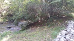 2017-09-10_09-55-05_IMG_20170910_104442.jpg