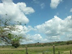 5753100_1347.JPG