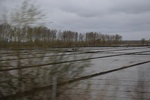 2017-05-12_18-04-49_2017-05-06 20.14.41.jpg