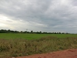 40725CIMG6696.JPG