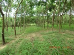 2012-09-26_20-48-07_CIMG1007.JPG