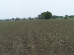 485702052008(51).JPG