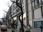 5936DSC05219.JPG