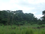 20178P1020030.JPG