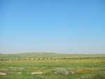 2017-02-02_10-25-25_DSCN0359.JPG