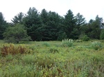 2018-09-03_13-29-33_DSC02355.jpg