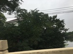 2017-09-10_20-42-10_E9527603-E9DA-4D97-829C-494442ABA027.jpg