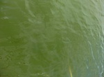 2012-09-21_14-27-08_CIMG3095.JPG